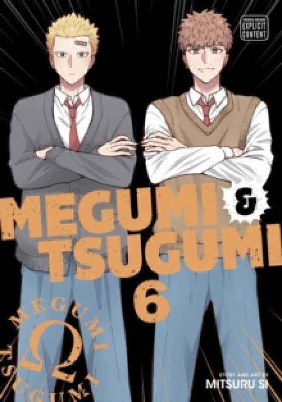 Image of Megumi & Tsugumi, Vol. 6 Paperback / softback