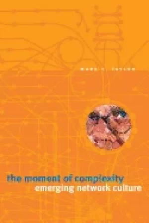 Image of moment of complexity emerging network culture