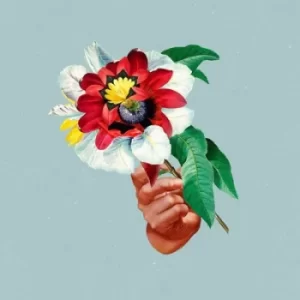 Image of Kingdoms in Colour by Maribou State CD Album