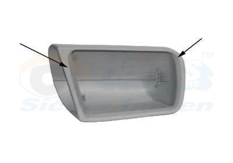 Image of VAN WEZEL Wing mirror cover VAN WEZEL 3031842