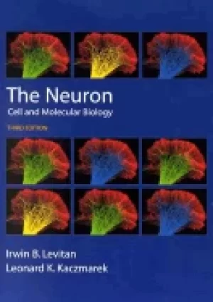 Image of neuron cell and molecular biology irwin b levitan and leonard k kaczmarek