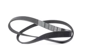 DAYCO V-ribbed belt 7PK1127 Serpentine belt,Auxiliary belt RENAULT,NISSAN,MEGANE III Grandtour (KZ0/1),SCENIC II (JM0/1_),Scenic III (JZ0/1_)