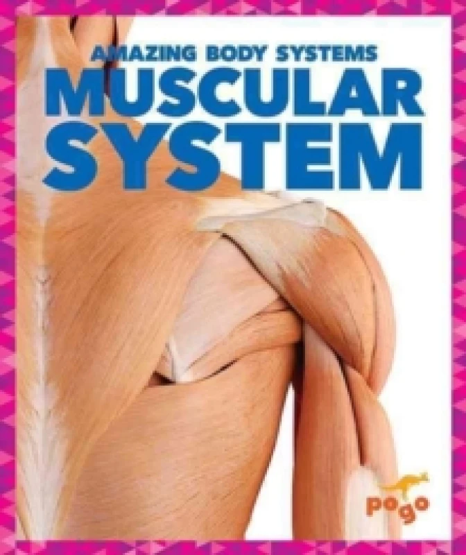 Image of Karen Kenney Muscular System Book Multi unisex