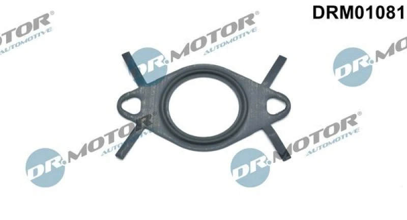 Image of DR.MOTOR AUTOMOTIVE EGR valve gasket DR.MOTOR AUTOMOTIVE DRM01081