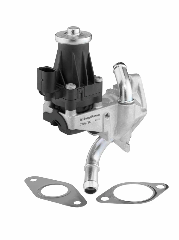 Image of BorgWarner 710979D EGR valve Electric EGR Valve (1145)