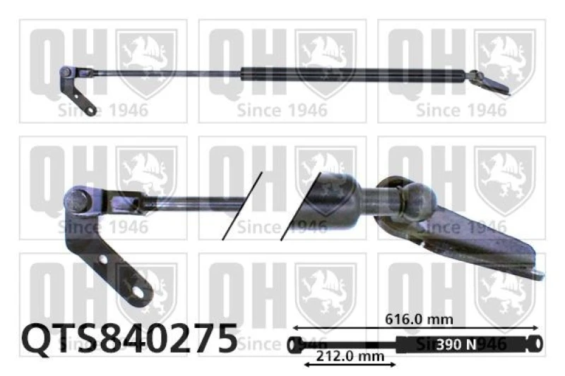 Image of QUINTON HAZELL Tailgate strut QUINTON HAZELL QTS840275