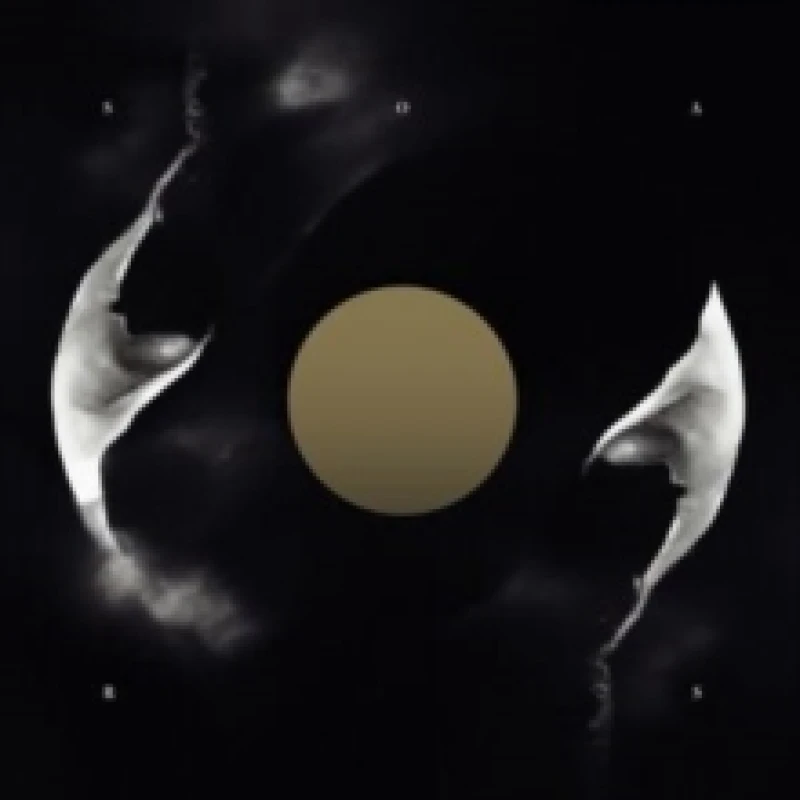 Image of Repeater Vinyl