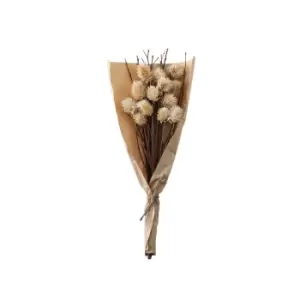 image of Crossland Grove Dried Thistle Bundle In Paper Wrap Natural H460Mm