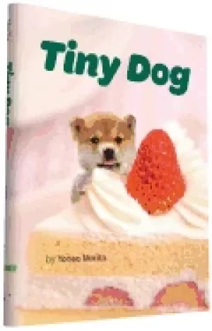 Image of tiny dog
