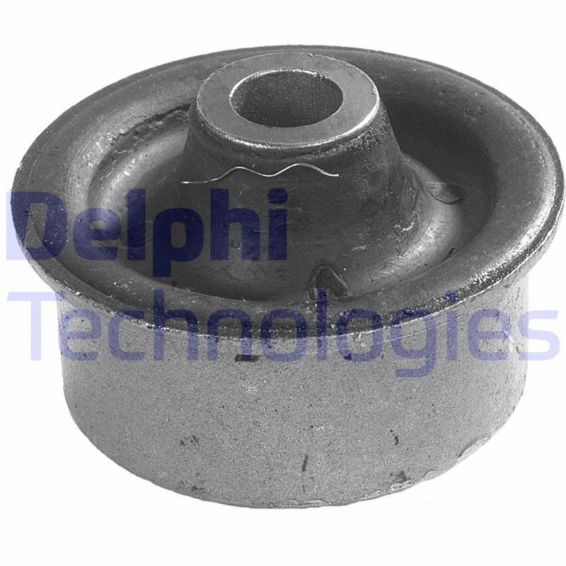 Image of DELPHI Trailing arm / Suspension arm bush DELPHI TD254W