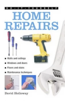 Image of Do-it-yourself home repairs by David Holloway