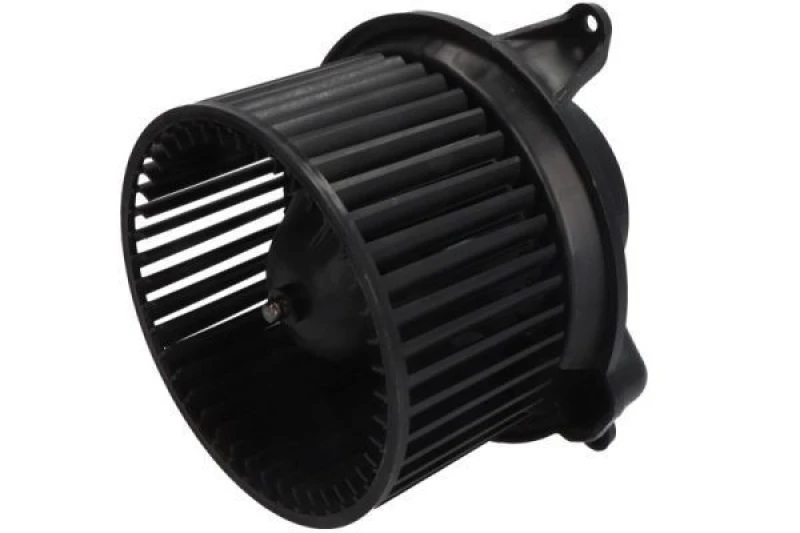 Image of THERMOTEC Blower motor THERMOTEC DD1005TT