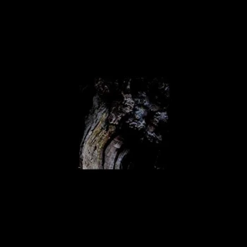 Image of Brunnen - Garden Of Perpetual Dreams Vinyl