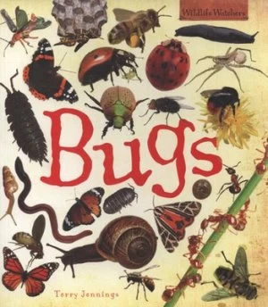 Image of Bugs by Terry Jennings Book