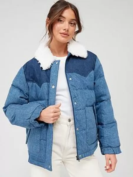 Western Puffer - Blue