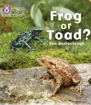 Image of Frog or toad? by Sue Barraclough