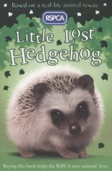 Image of Little Lost Hedgehog by Jill Hucklesby Paperback