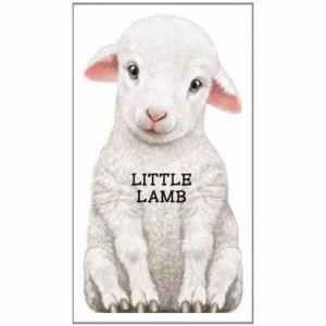 Image of Little Lamb by L. Rigo Book