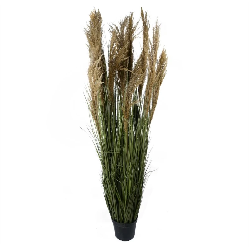 Image of Leaf 180cm Realistic Natural Pampas Grass Plant Green