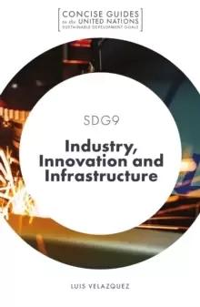 Image of SDG9 - Industry, Innovation and Infrastructure