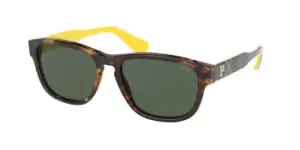 Polo Ralph Lauren Sunglasses PH4158 535171