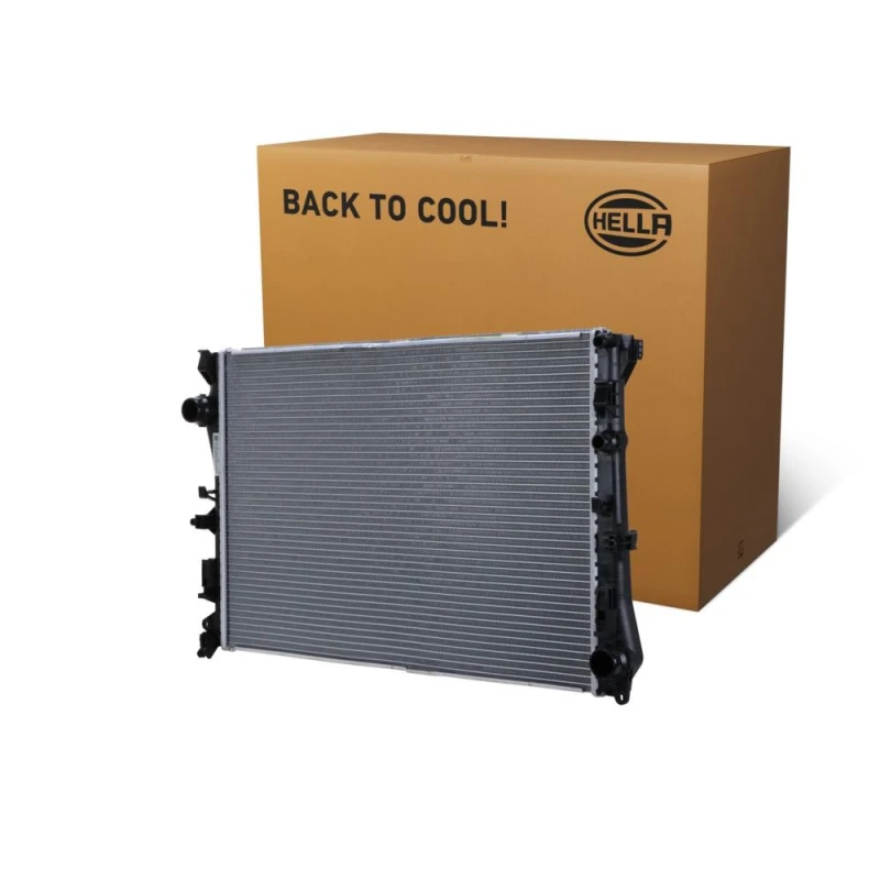 Image of HELLA Engine radiator HELLA 8MK 366 300-421