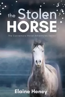 Image of The Stolen Horse : Book 4 in the Connemara Horse Adventure Series for Kids The Perfect Gift for Children age 8-12