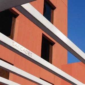 Image of Saccades - Saccades Vinyl
