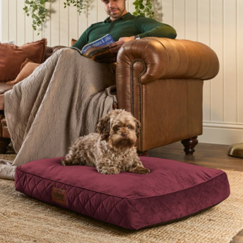 Image of Slumberdown Paws for Slumber Luxurious Medium Pet Bed Burgundy