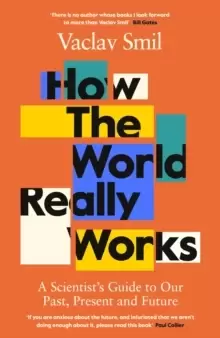 Image of How the World Really Works : A Scientist's Guide to Our Past, Present and Future