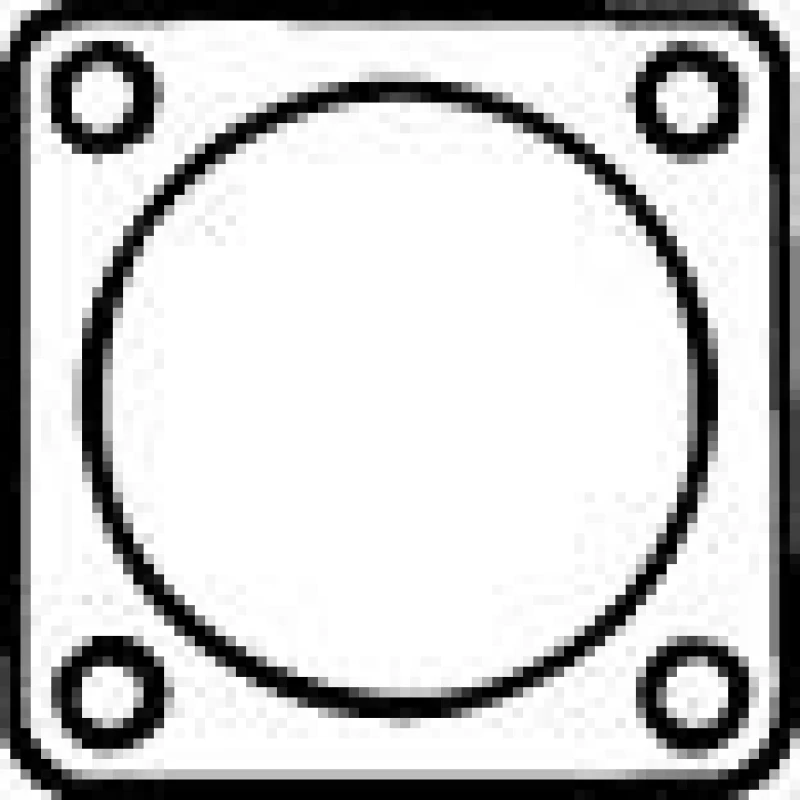 Image of Exhaust pipe gasket VEGAZ CD-108