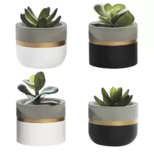 Image of Cement Succulent Pots - Set of 4 M&W