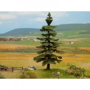 Image of NOCH 21823 Tree Nordmann fir 145mm