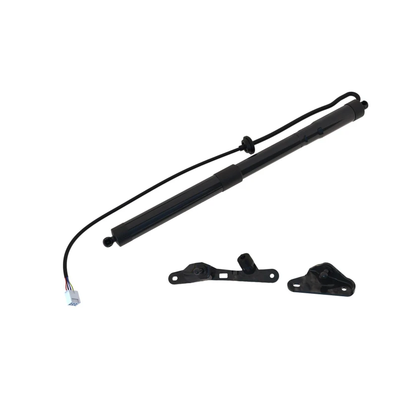 Image of Tailgate strut DIEDERICHS 9100512