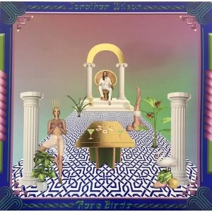 Image of Jonathan Wilson - Rare Birds Vinyl
