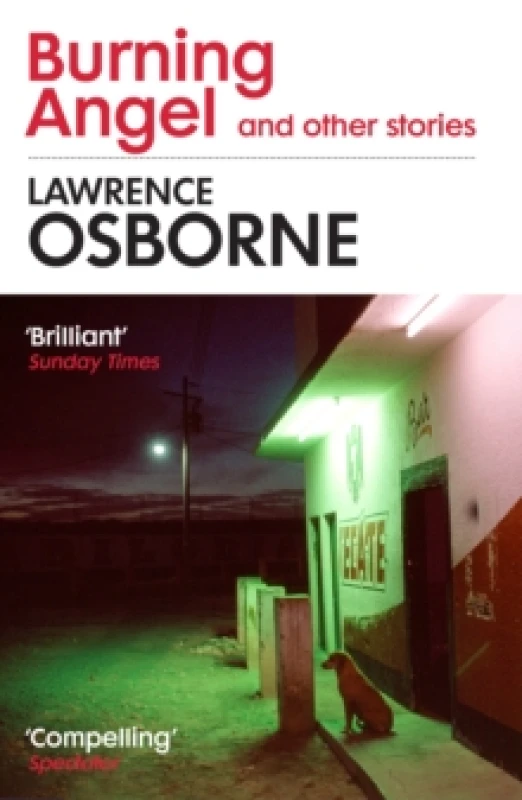 Image of Burning Angel and Other Stories Paperback / softback