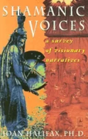 Image of shamanic voices a survey of visionary narratives