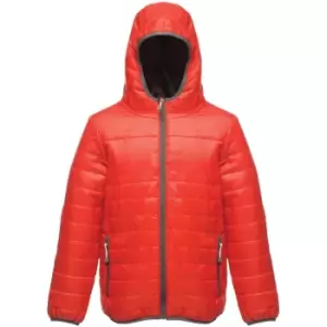 Image of Regatta Boys & Girls Stormforce Lightweight Durable Padded Jacket Coat 11-12 years - Chest 29.5-31 (75-79cm)