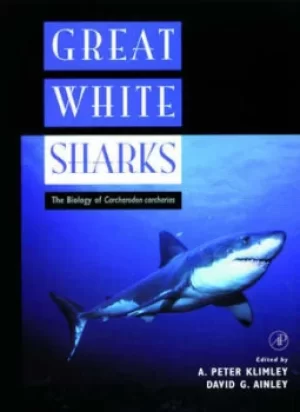 Image of Great white sharks by A. Peter Klimley