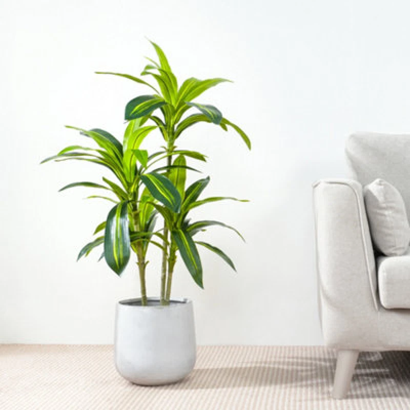 Image of MCC Direct Artificial Fake Agave Tree Plant with Plastic Planter Pot 100cm Multi