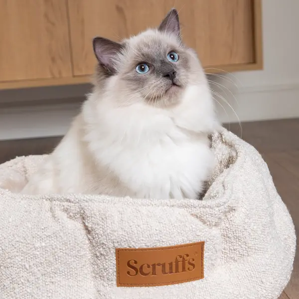 image of Scruffs Boucle Cat Bed Ivory