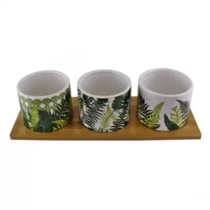 Image of Fernology Ceramic and Wooden Mezze Set