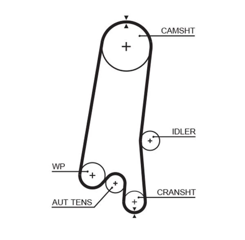 Image of GATES Timing Belt GATES 5597XS