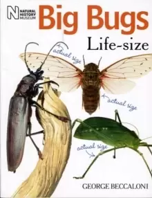 Image of Big Bugs Life-Size