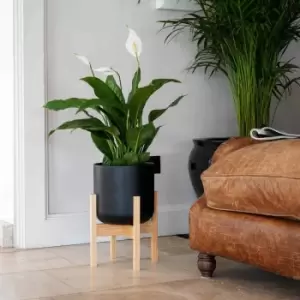 Image of Ivyline Lisbon Pot And Stand Anthracite - D20.5Cm