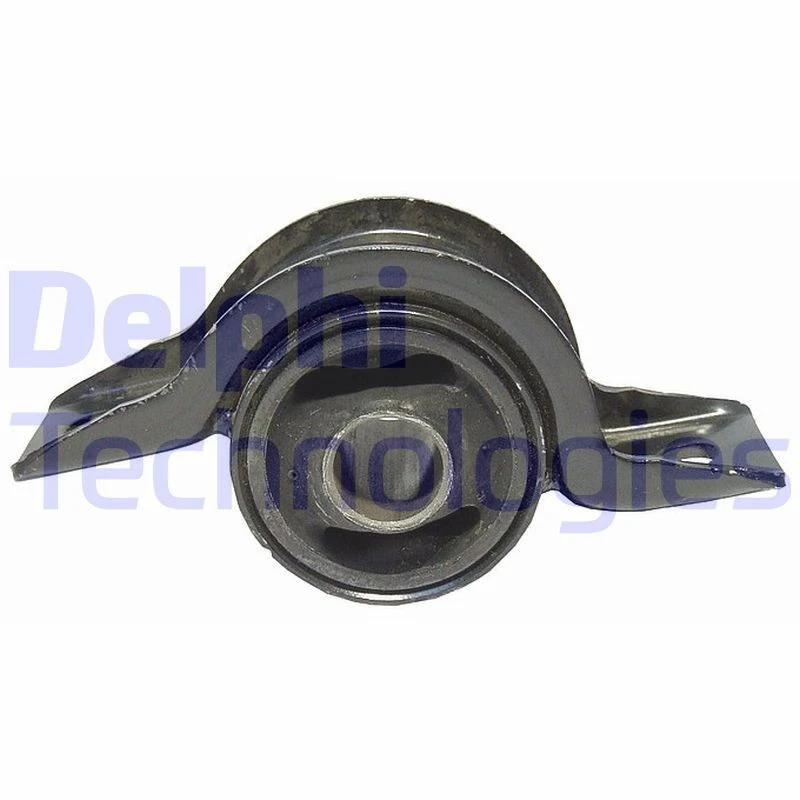Image of DELPHI Trailing arm / Suspension arm bush DELPHI TD578W