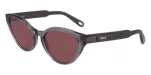 Image of Chloe Sunglasses CE 757S 035