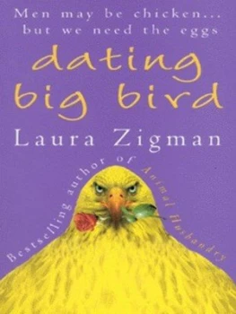 Image of Dating Big Bird by Laura Zigman Book