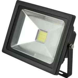 COB LED Floodlight 20W