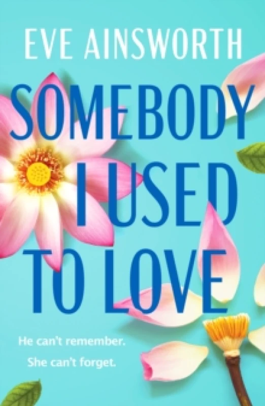 Image of Somebody I Used to Love : The most emotional, unforgettable love story Paperback / softback
